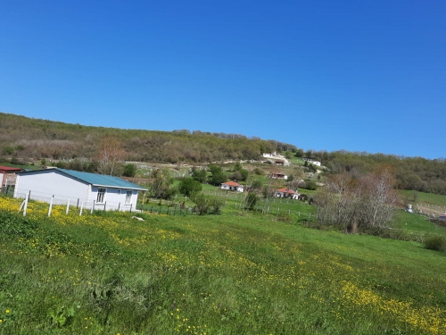 Çiftlikköy ev yeni resimler 