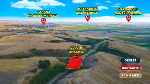 HAYRABOLU LAHANA 2290
