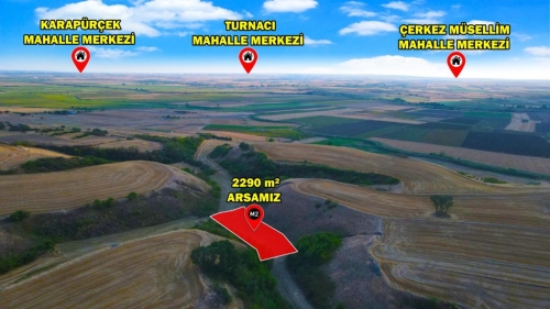 HAYRABOLU LAHANA 2290