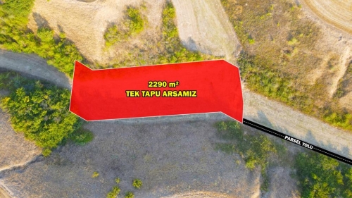 HAYRABOLU LAHANA 2290