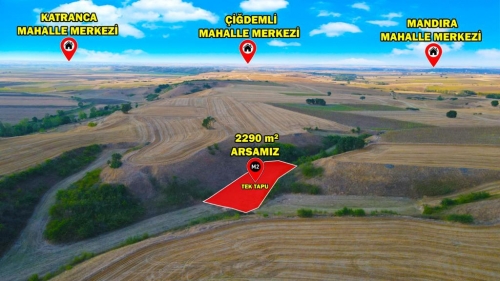 HAYRABOLU LAHANA 2290