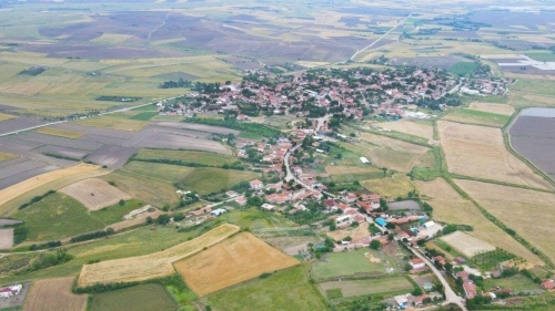 HAYRABOLU LAHANA 2290
