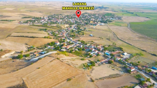 HAYRABOLU LAHANA 2290