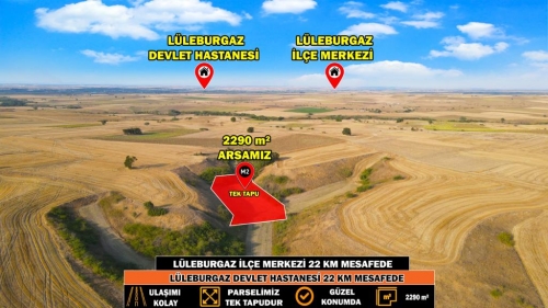HAYRABOLU LAHANA 2290