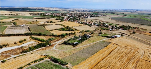 HAYRABOLU LAHANA 2290