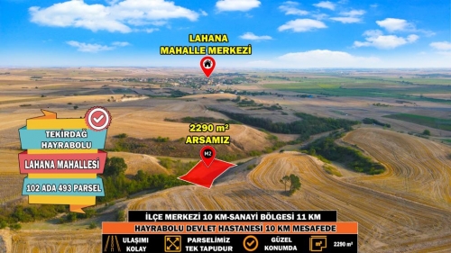 HAYRABOLU LAHANA 2290