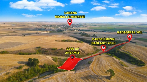 HAYRABOLU LAHANA 2290