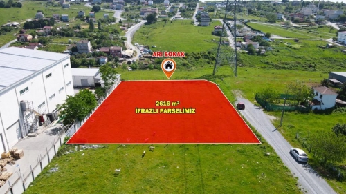 TAŞOLUK 2616 M2