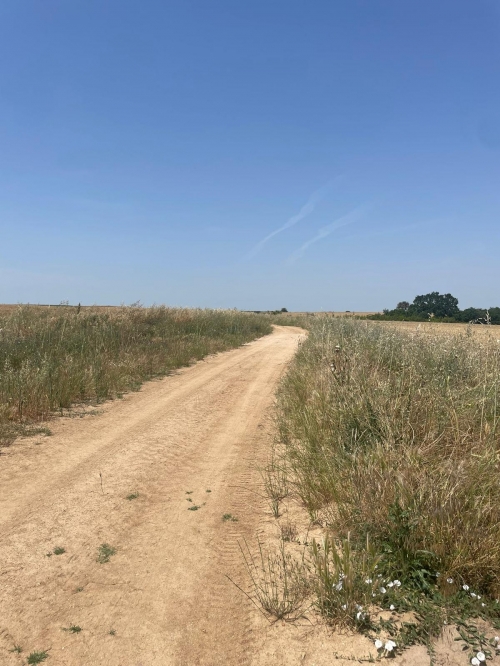 yeşilova 7000 m2