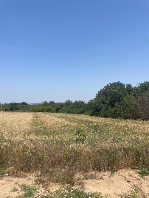 yeşilova 7000 m2